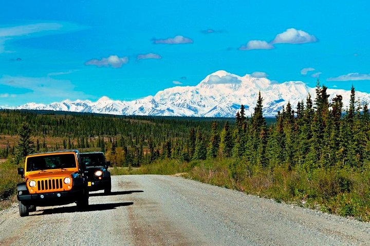 Views of Denali!